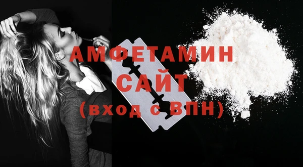 шишки Белоозёрский